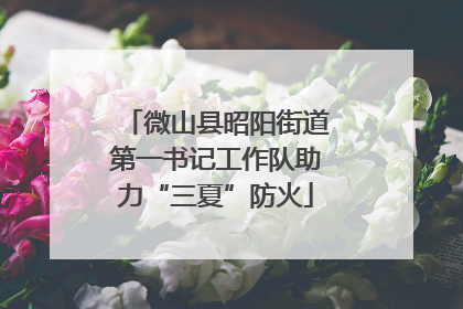 微山县昭阳街道第一书记工作队助力“三夏”防火