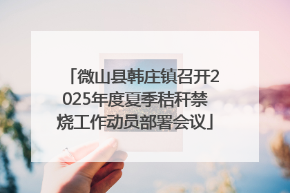 微山县韩庄镇召开2025年度夏季秸秆禁烧工作动员部署会议