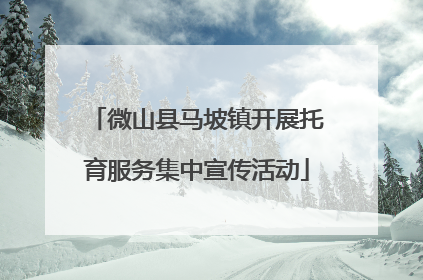 微山县马坡镇开展托育服务集中宣传活动