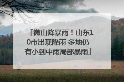 微山降暴雨！山东10市出现降雨 多地仍有小到中雨局部暴雨