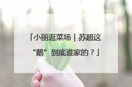 小丽逛菜场｜苏超这“鹅”到底谁家的？