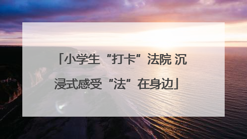 小学生“打卡”法院 沉浸式感受“法”在身边