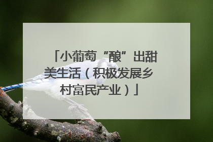 小葡萄“酿”出甜美生活（积极发展乡村富民产业）