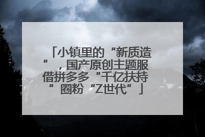 小镇里的“新质造”，国产原创主题服借拼多多“千亿扶持”圈粉“Z世代”