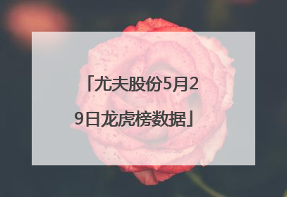尤夫股份5月29日龙虎榜数据
