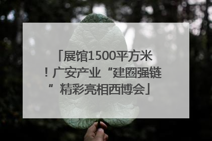 展馆1500平方米！广安产业“建圈强链”精彩亮相西博会