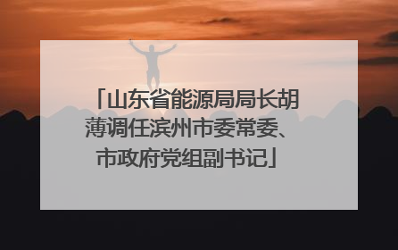 山东省能源局局长胡薄调任滨州市委常委、市政府党组副书记
