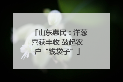 山东惠民：洋葱喜获丰收 鼓起农户“钱袋子”