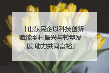 山东民企以科技创新赋能乡村振兴与转型发展 助力共同富裕