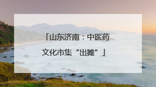 山东济南：中医药文化市集“出摊”