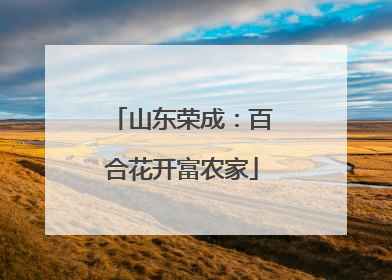 山东荣成：百合花开富农家