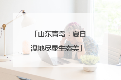 山东青岛：夏日湿地尽显生态美