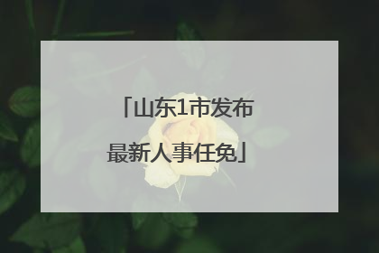 山东1市发布最新人事任免