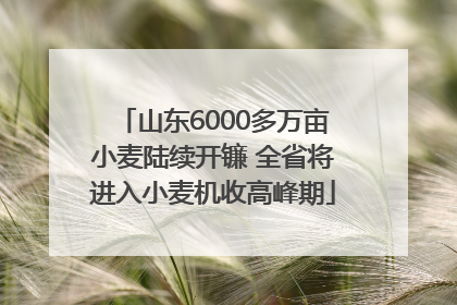 山东6000多万亩小麦陆续开镰 全省将进入小麦机收高峰期