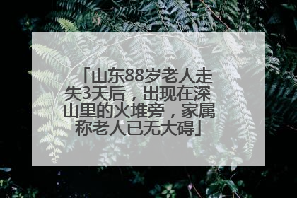 山东88岁老人走失3天后，出现在深山里的火堆旁，家属称老人已无大碍