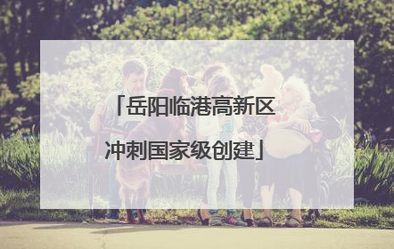 岳阳临港高新区冲刺国家级创建