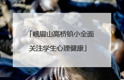 峨眉山高桥镇小全面关注学生心理健康