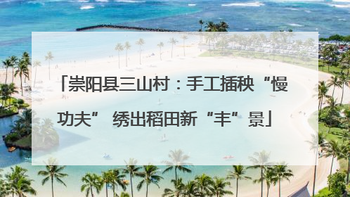 崇阳县三山村：手工插秧“慢功夫” 绣出稻田新“丰”景