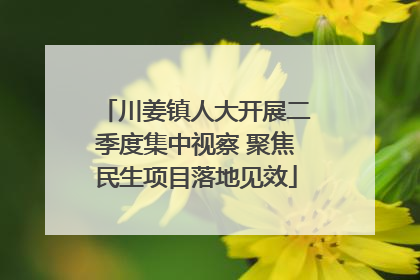 川姜镇人大开展二季度集中视察 聚焦民生项目落地见效