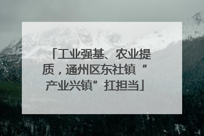 工业强基、农业提质，通州区东社镇“产业兴镇”扛担当