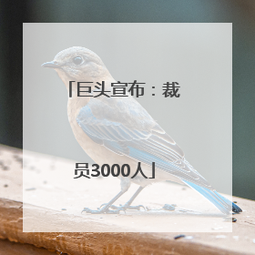 巨头宣布：裁员3000人