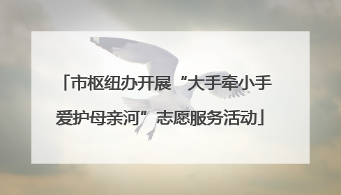 市枢纽办开展“大手牵小手 爱护母亲河”志愿服务活动