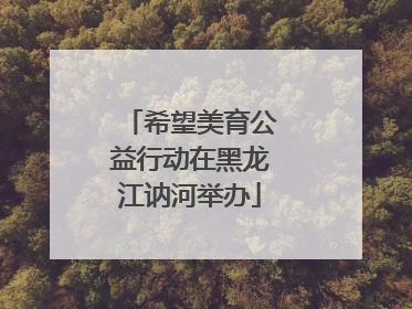 希望美育公益行动在黑龙江讷河举办