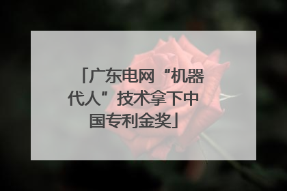 广东电网“机器代人”技术拿下中国专利金奖