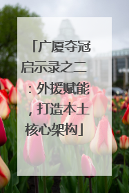 广厦夺冠启示录之二：外援赋能，打造本土核心架构