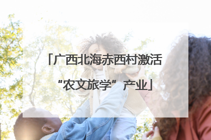 广西北海赤西村激活“农文旅学”产业