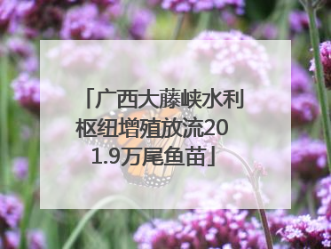 广西大藤峡水利枢纽增殖放流201.9万尾鱼苗