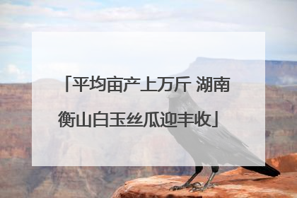 平均亩产上万斤 湖南衡山白玉丝瓜迎丰收
