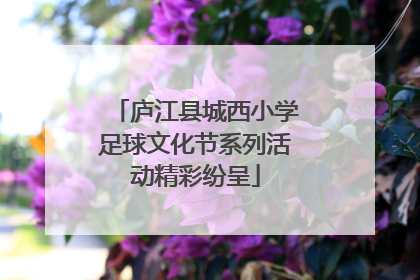 庐江县城西小学足球文化节系列活动精彩纷呈