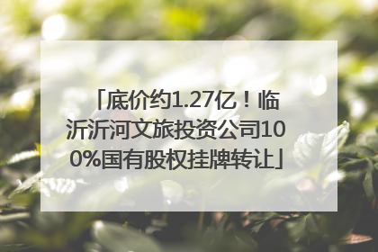 底价约1.27亿！临沂沂河文旅投资公司100%国有股权挂牌转让
