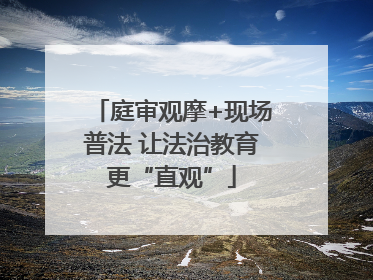 庭审观摩+现场普法 让法治教育更“直观”