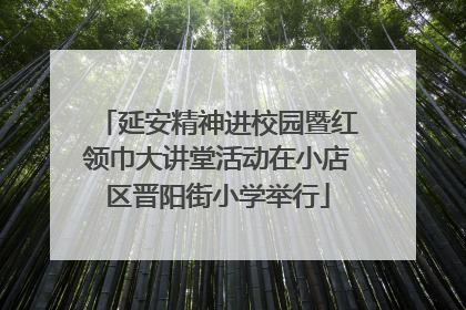 延安精神进校园暨红领巾大讲堂活动在小店区晋阳街小学举行