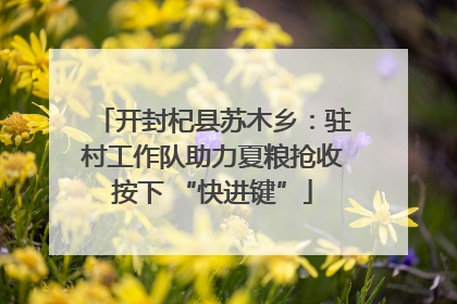 开封杞县苏木乡：驻村工作队助力夏粮抢收按下 “快进键”