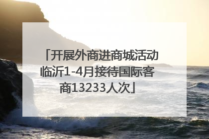 开展外商进商城活动 临沂1-4月接待国际客商13233人次