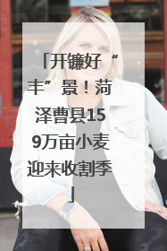 开镰好“丰”景！菏泽曹县159万亩小麦迎来收割季