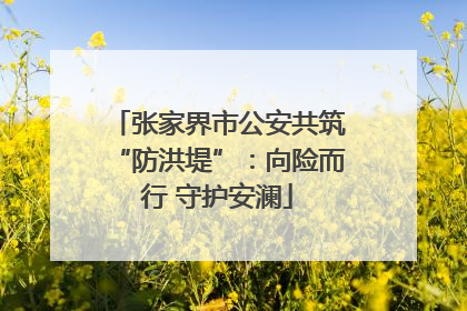 张家界市公安共筑“防洪堤”：向险而行 守护安澜