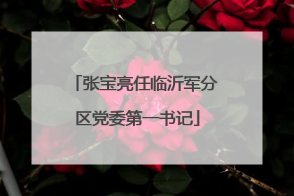 张宝亮任临沂军分区党委第一书记
