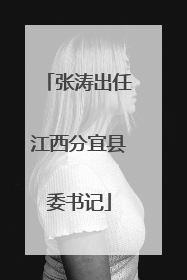 张涛出任江西分宜县委书记