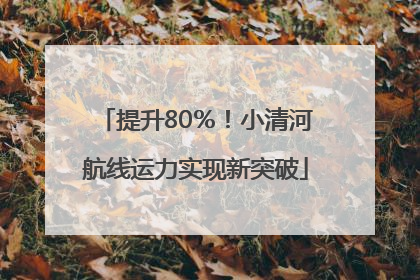 提升80％！小清河航线运力实现新突破
