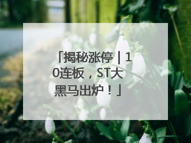 揭秘涨停｜10连板，ST大黑马出炉！