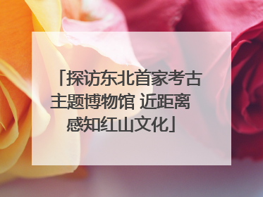 探访东北首家考古主题博物馆 近距离感知红山文化