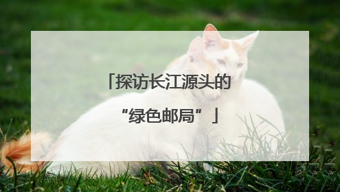 探访长江源头的“绿色邮局”