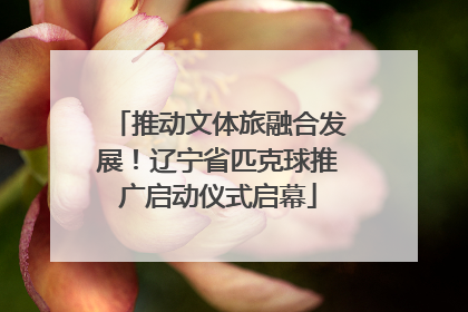 推动文体旅融合发展！辽宁省匹克球推广启动仪式启幕