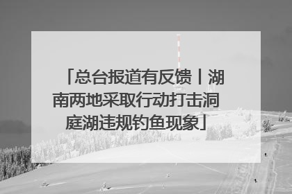 总台报道有反馈丨湖南两地采取行动打击洞庭湖违规钓鱼现象