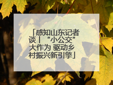 感知山东记者谈丨“小公交”大作为 驱动乡村振兴新引擎