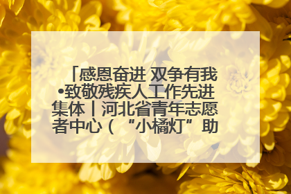 感恩奋进 双争有我•致敬残疾人工作先进集体丨河北省青年志愿者中心（“小橘灯”助残接力计划实施团队）：用温暖陪伴，守护特殊孩子成长